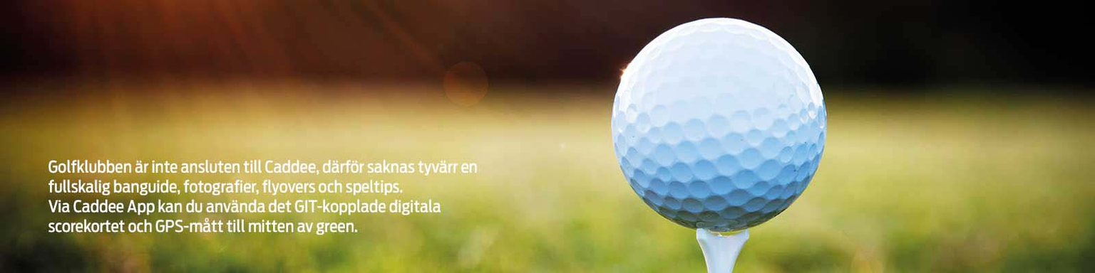 Golfbana