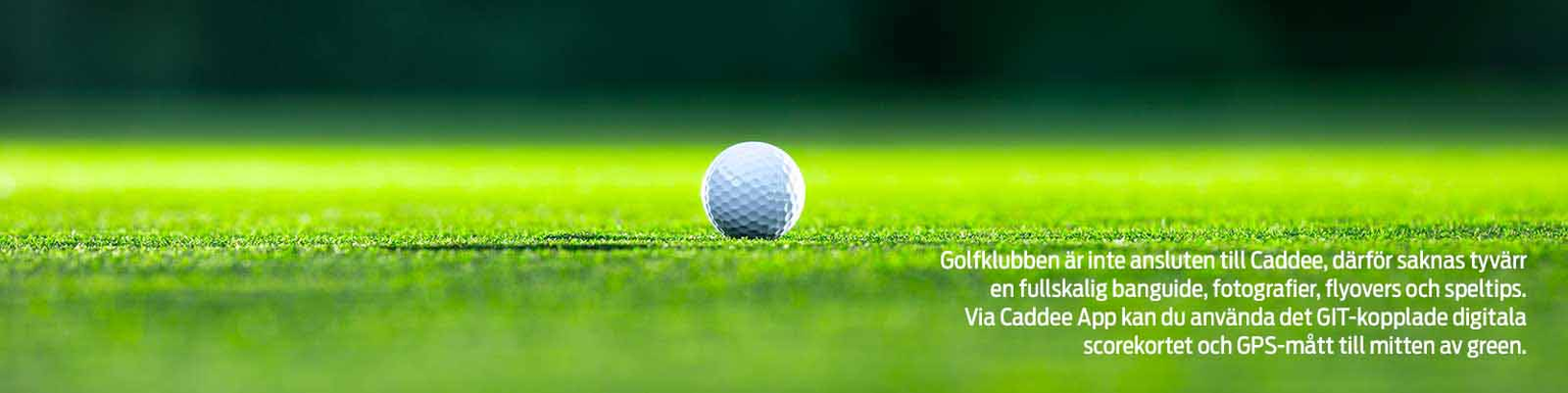 Golfbana