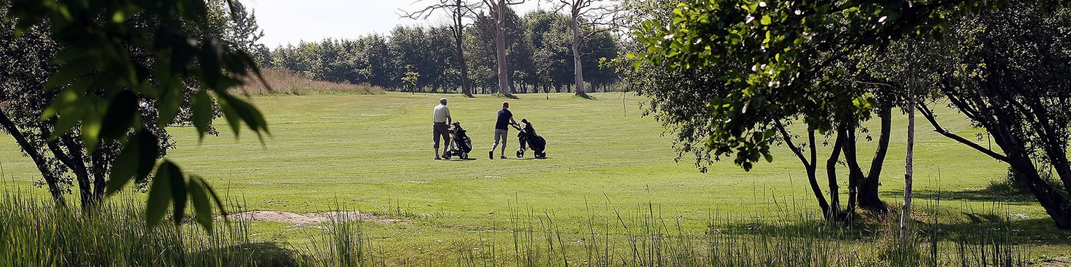 Golfbana