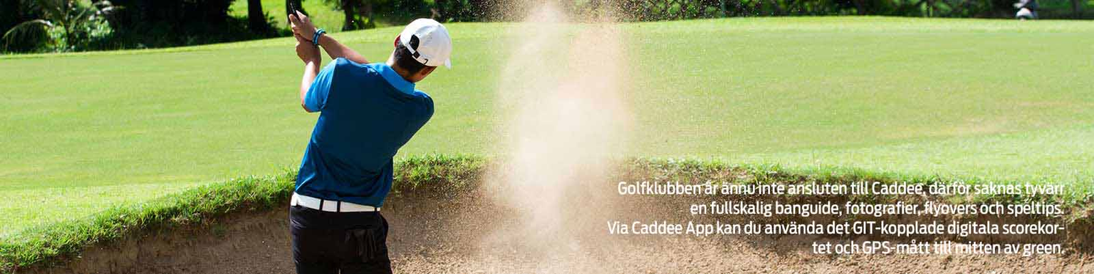 Golfbana