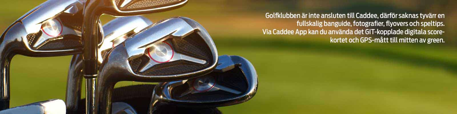 Golfbana
