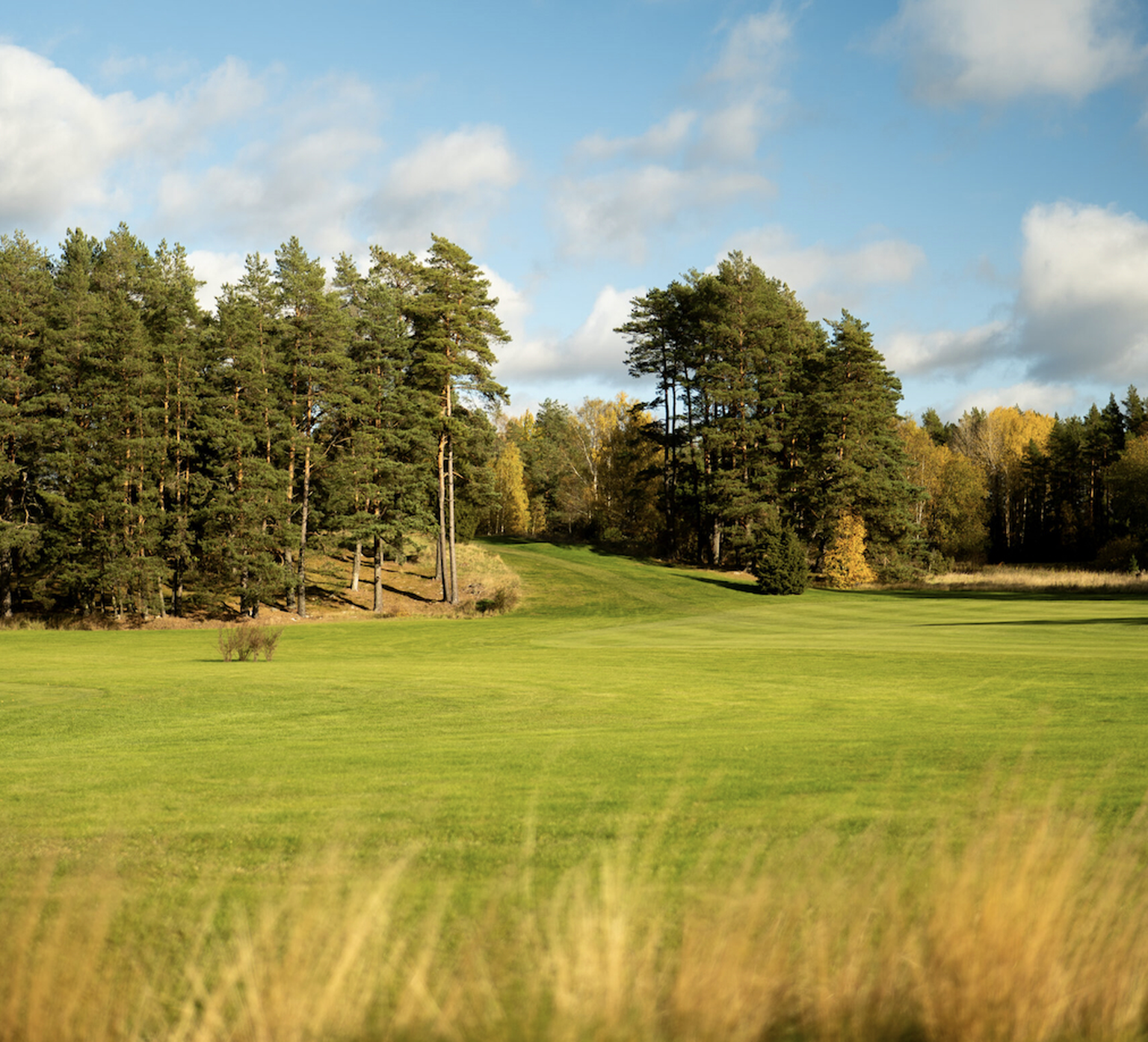 Golfbana