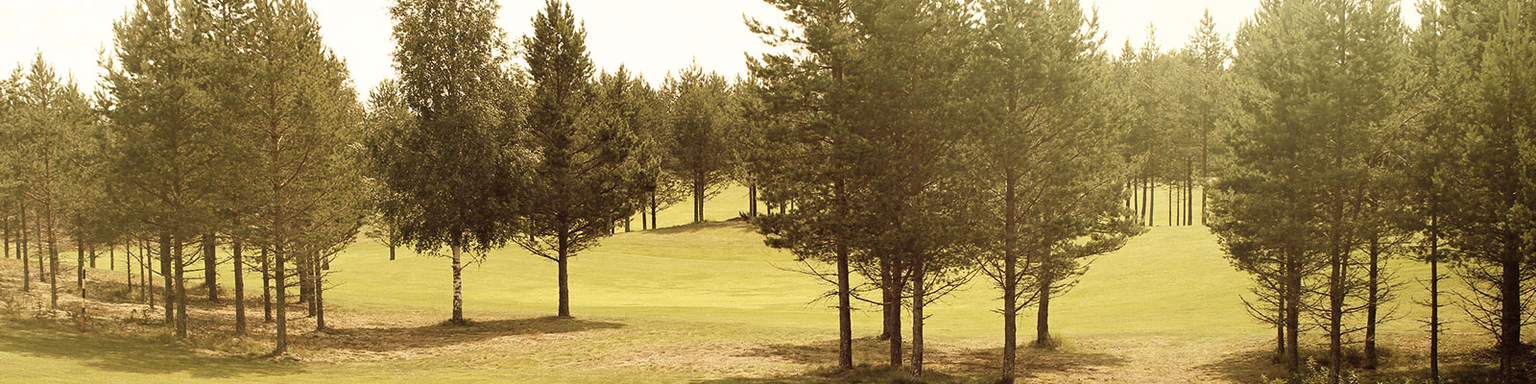 Golfbana