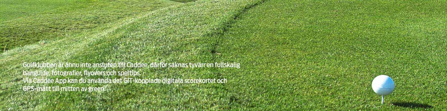 Golfbana