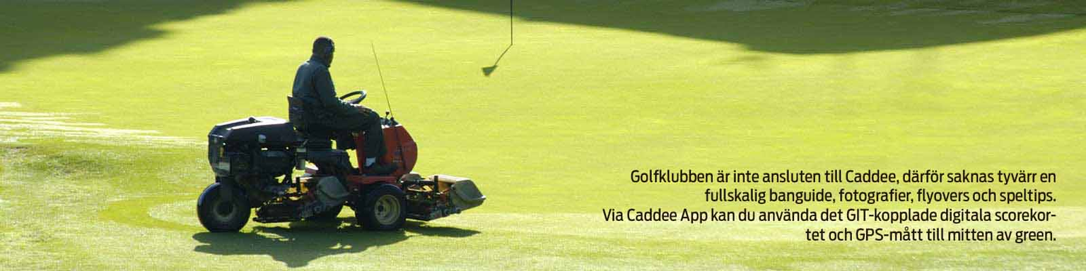 Golfbana