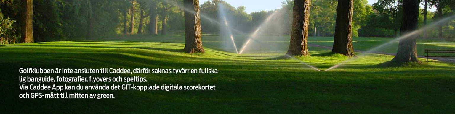 Golfbana
