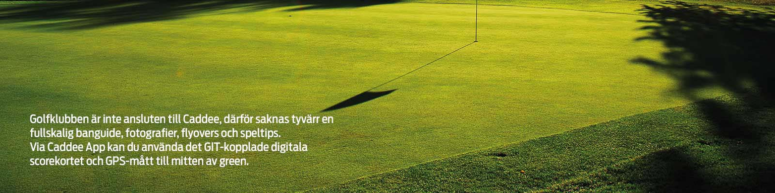 Golfbana