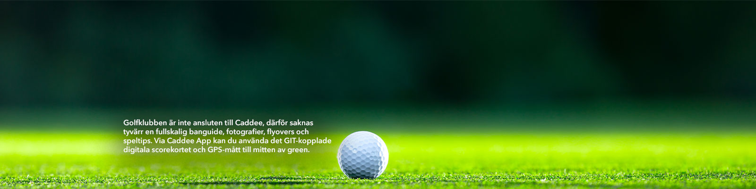 Golfbana