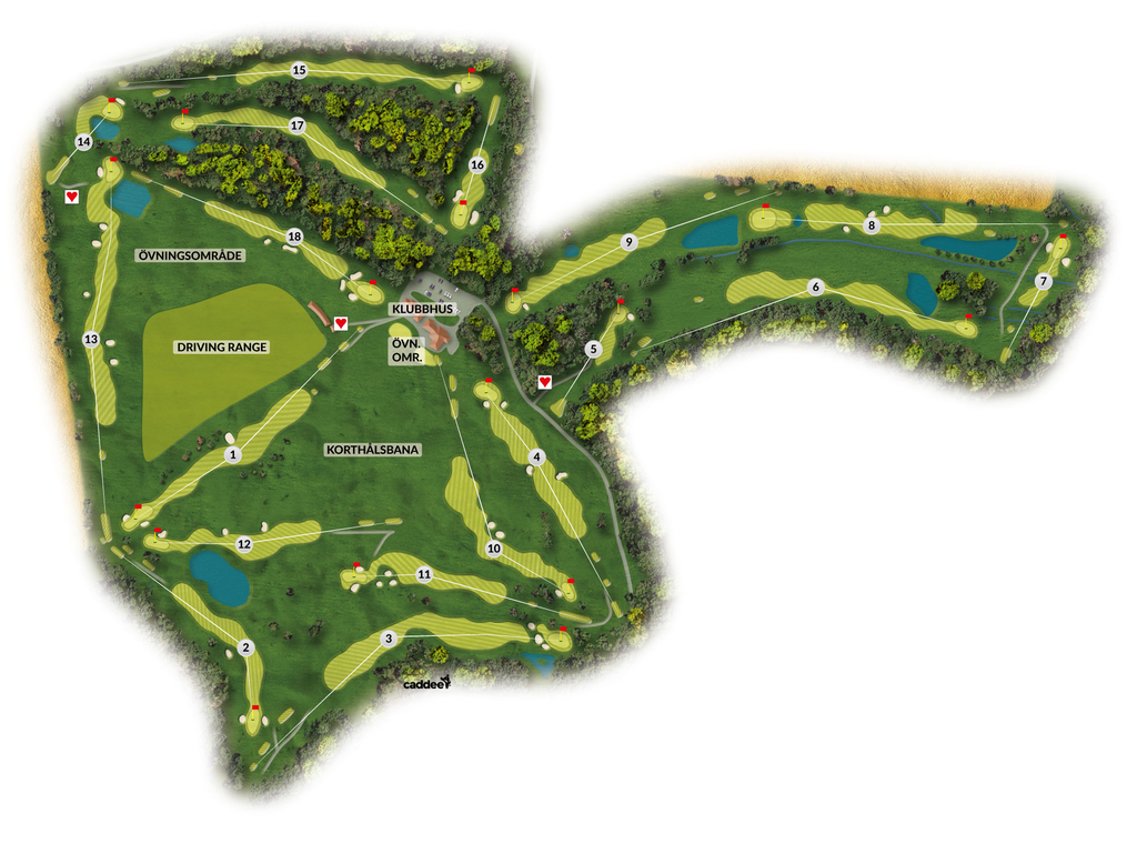 Course image