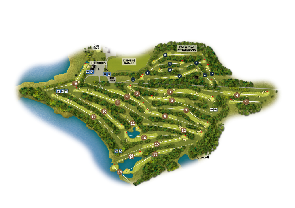 Course image