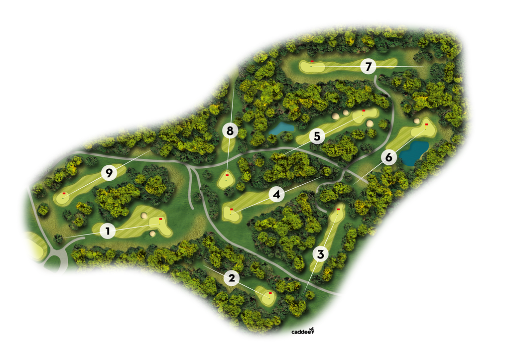 Course image