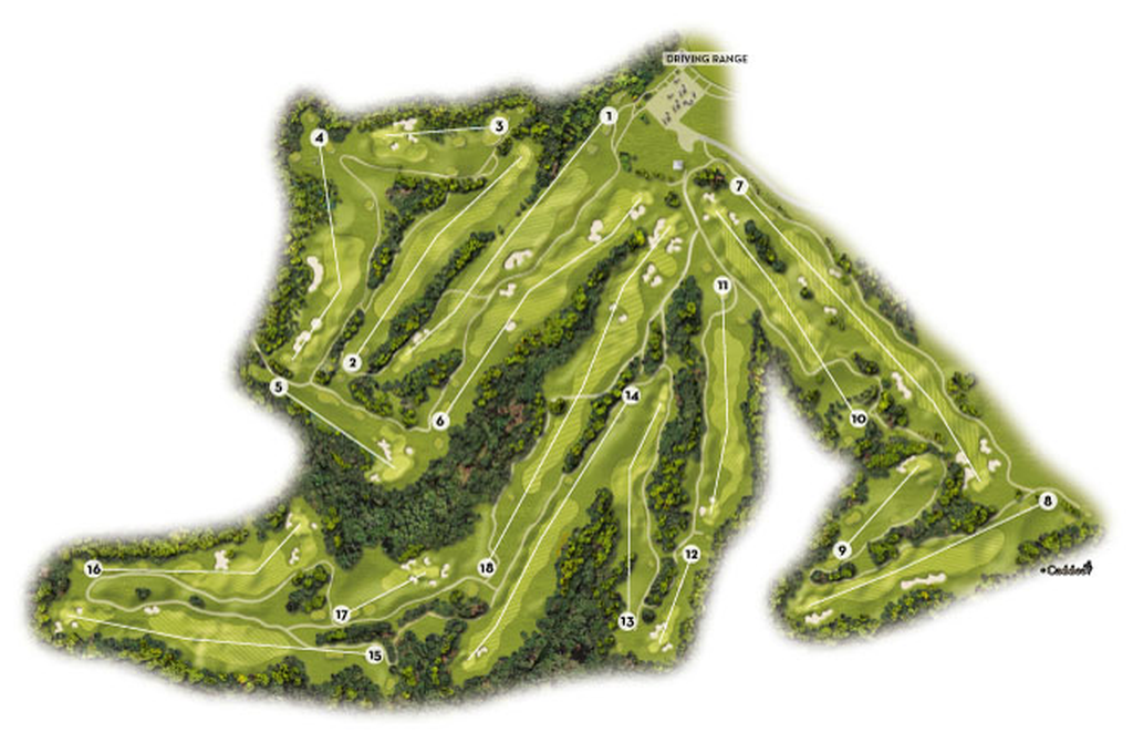 Course image