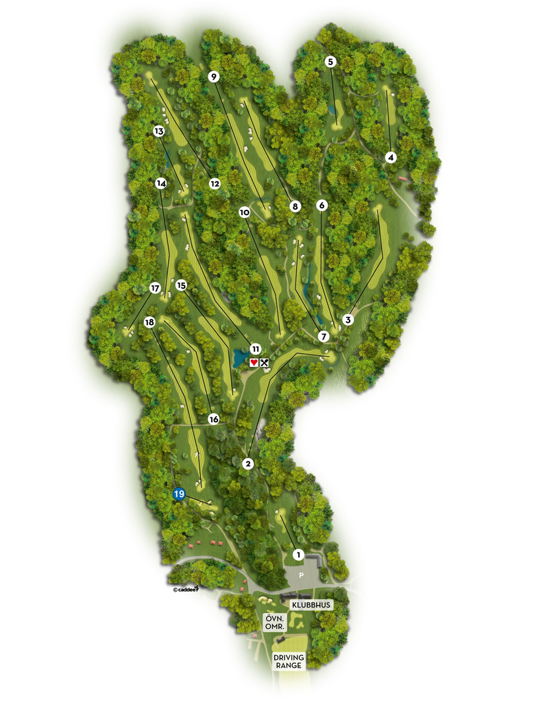 Course image