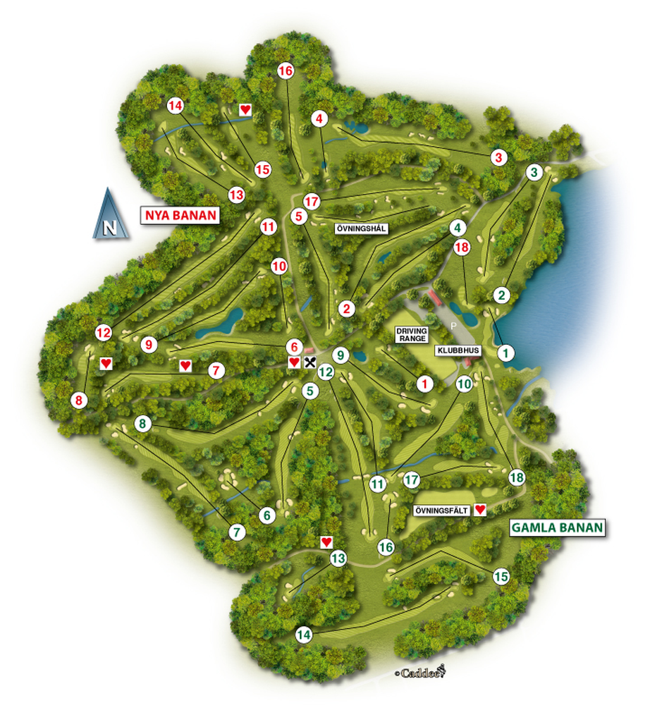 Course image