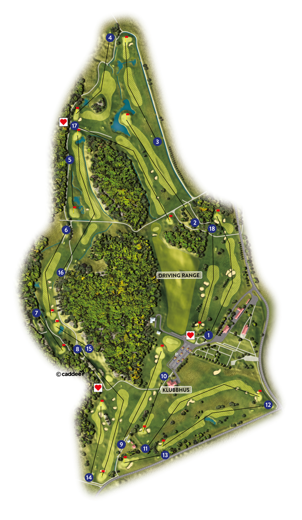 Course image
