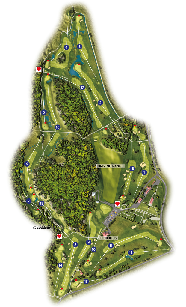 Course image