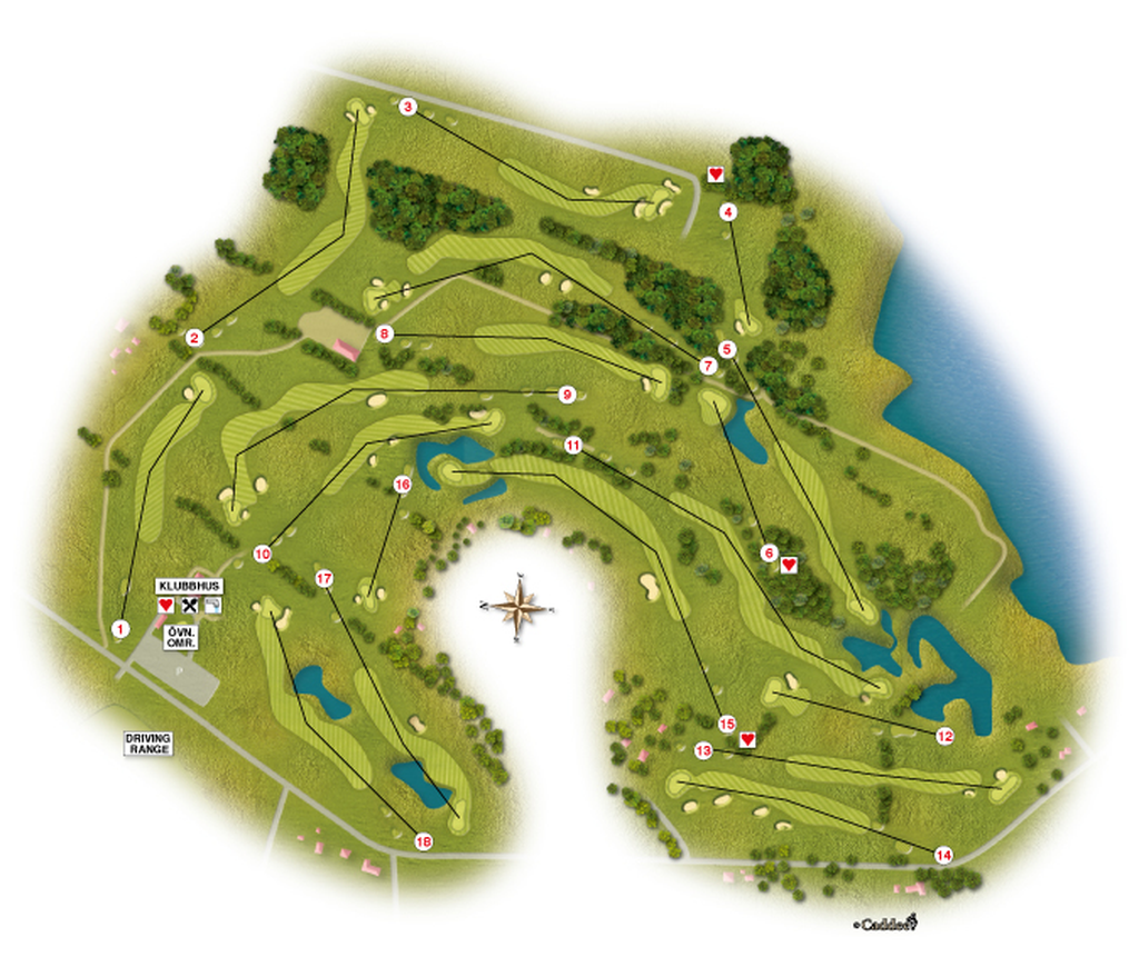 Course image